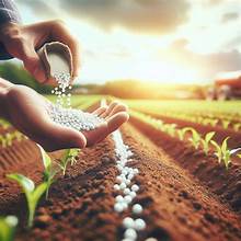 Fertilizer on crops
